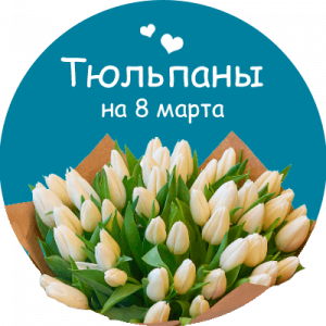 Купить тюльпаны в Березовском